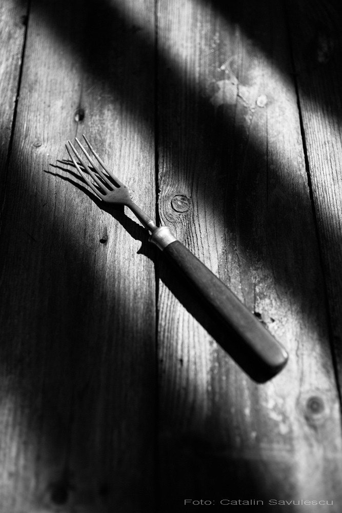 the-fork