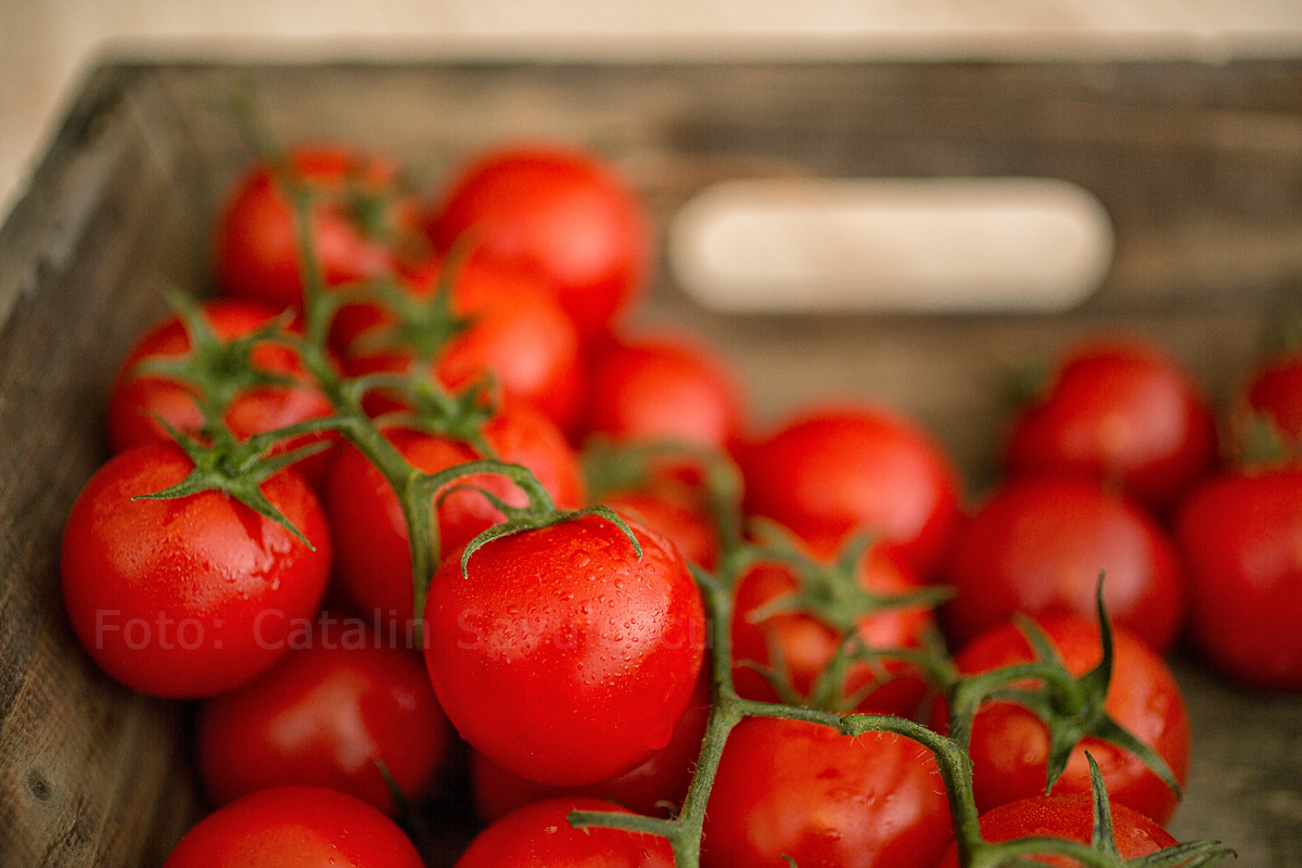 tomatoes-03